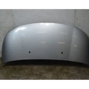 Affare Cofano anteriore Citroen C3 Picasso Dal 2009 al 2018 Cod 7901Q7