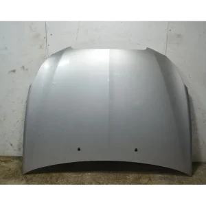 Consegna Rapida Cofano anteriore Lancia Delta III Dal 2008 al 2011 Cod 51808857
