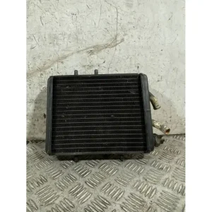 Vendita Finale Radiatore Acqua Aprilia Leonardo 125 / 150 dal 1997 al 2007