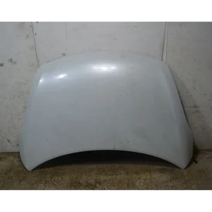 Cofano Anteriore Suzuki Swift Dal 2010 al 2013 Cod 5730071L00000 Reso Gratuito