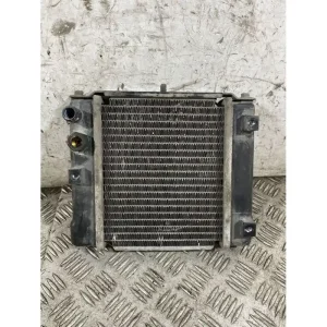 Offerta Lampo Radiatore Kymco People GT 300 Dal 2010 al 2017 COD U05121-10000