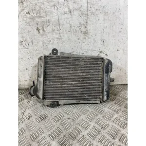 Affare Radiatore Acqua Honda SH 300 Dal 2006 al 2010