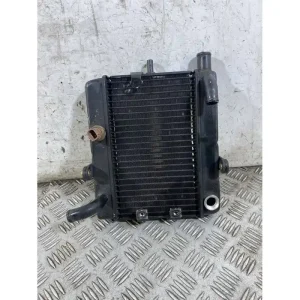 Radiatore Acqua Honda Foresight 250 Dal 1998 al 2004 Pagamento Sicuro