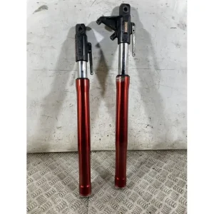 Reso Gratuito Coppia Steli Forcella Derbi GPR 125 4T 4V Dal 2009 al 2015