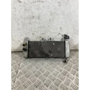 Acquista Ora Radiatore Acqua Derbi GPR 125 4T 4V Dal 2009 al 2015