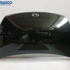 Ultimissimo Modello Cofano DAIHATSU SIRION ‘05