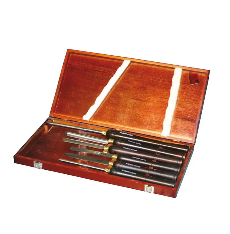 Holzmann H6TLG set di scalpelli di qualità 6 pezzi HSS Sconto