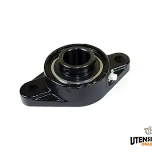 Compra Online Supporto cuscinetto Chiaravalli in ghisa UCFL 202 Ø 15mm