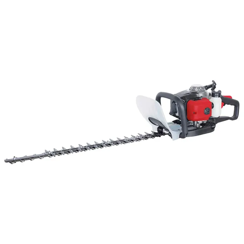 Scheppach HTH250/240p - Tagliasiepi tosasiepi a scoppio a miscela lama cm 60 Occasione Imperdibile