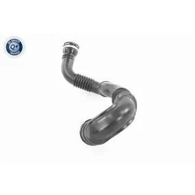 VAICO Chiave per filtro olio V99-1016 - Attrezzi per filtri online a prezzi bassi per ogni auto Compra Adesso
