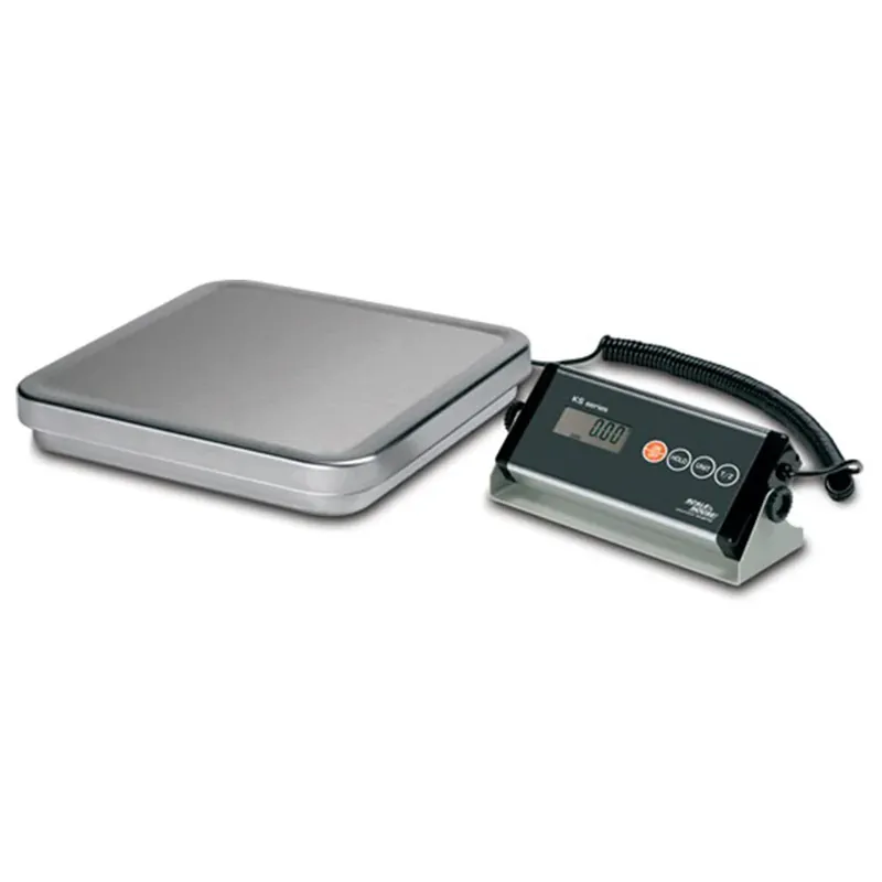 Dini Argeo KS30 - Bilancia da banco e pavimento - portata 30 kg Offerta