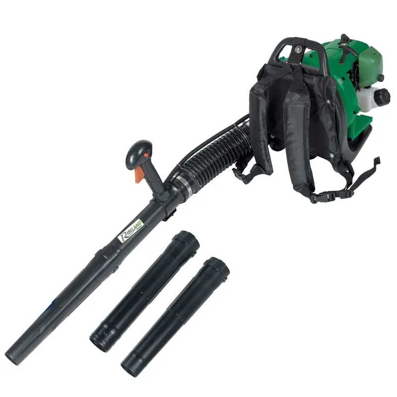 Direttamente Dal Produttore Ribimex PRASBTD30 - Soffiatore a scoppio 30cc