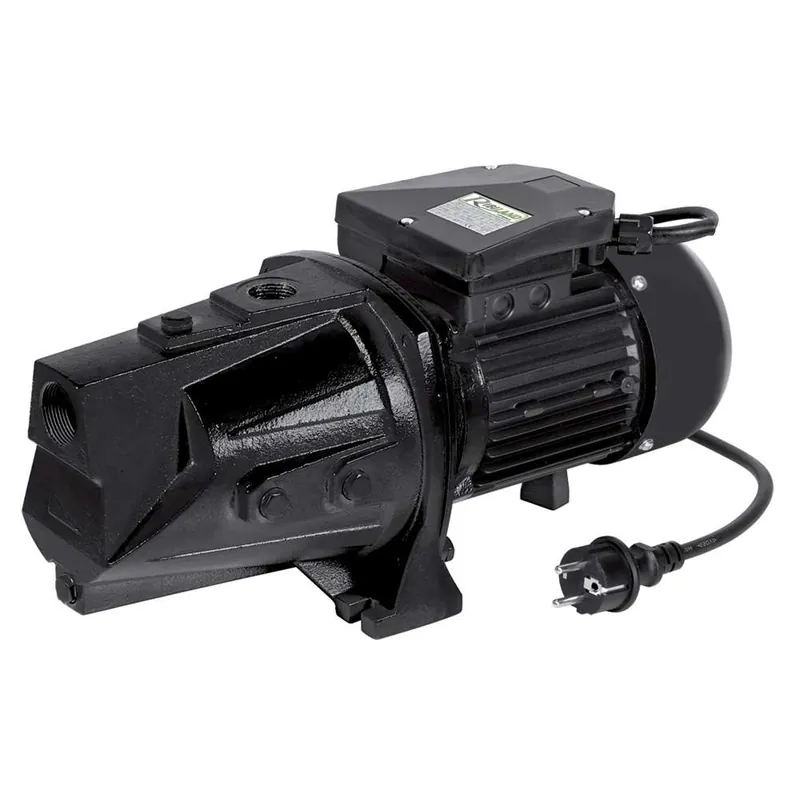 Consegna Rapida Ribimex PRJET150L - Pompa di superfice 1800W con corpo allungato