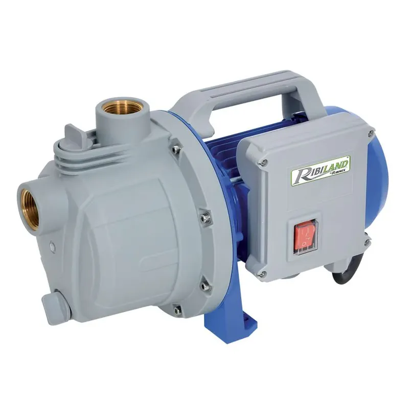 Ribimex PRJET41P - Pompa di superficie Acquapro 400W Acquista Ora