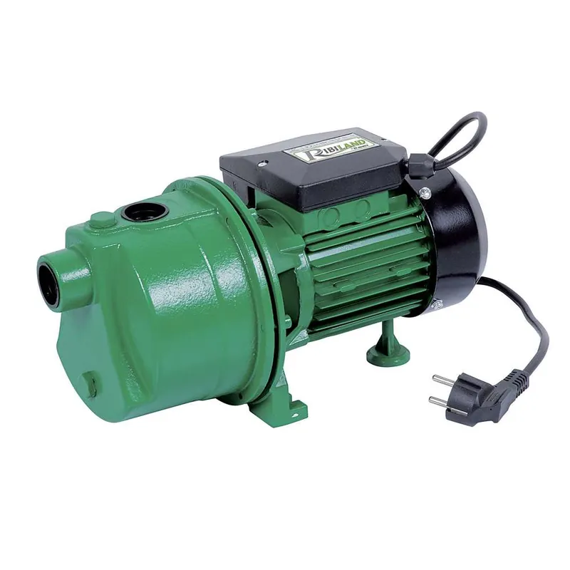 Spedizione Espresso Ribimex PRJET61 - Pompa di superficie JET61 600W