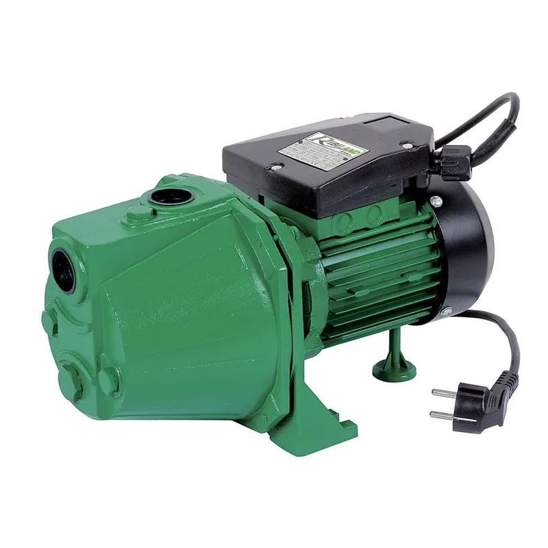 Ultima Occasione Ribimex PRJET81 - Pompa di superficie JET81 750W