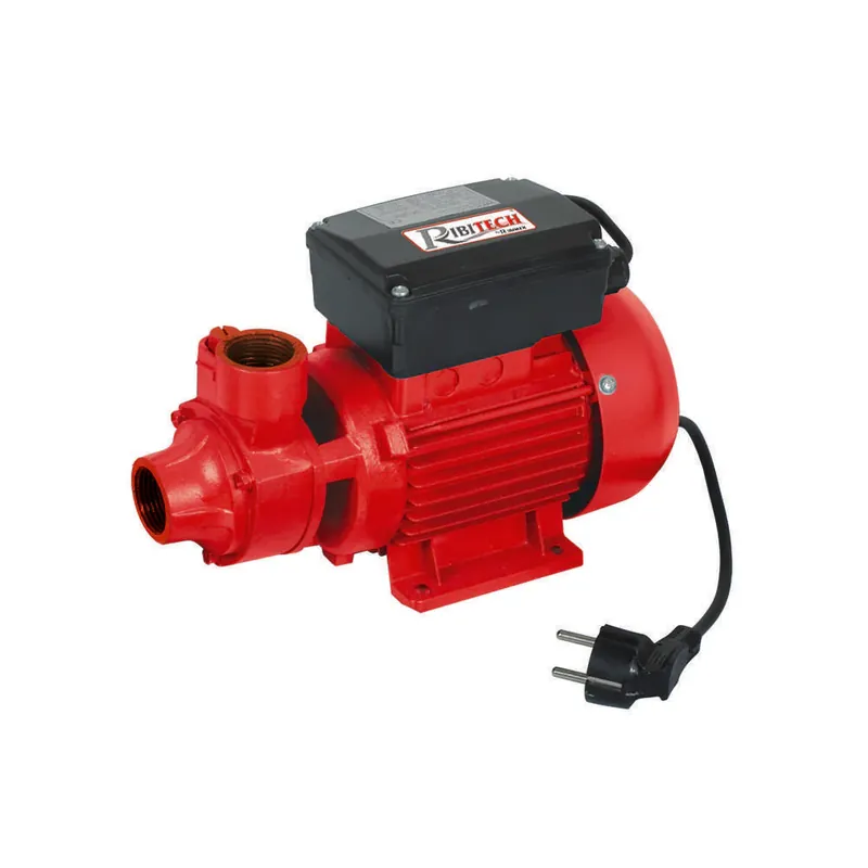 Ribimex PRPC115 - Pompa gasolio 370w - 40 l/min Vendita Finale
