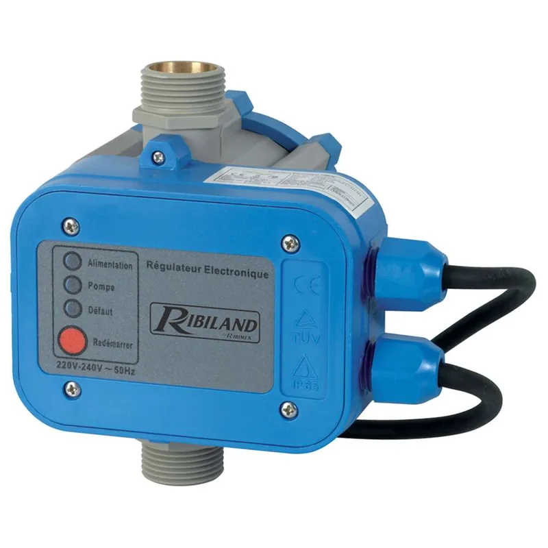 Ribimex PRPCONTROLP - Acqua control+ con regolatore elettronico Vendita Finale