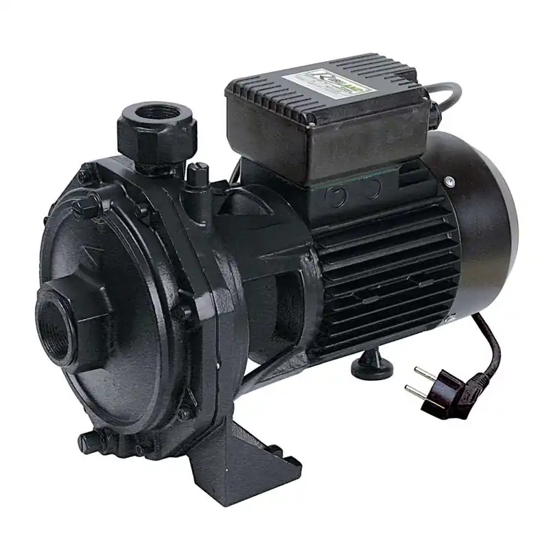 Ribimex PRRBK200 - Pompa di superficie biturbina 2000W Ultime Pezzi