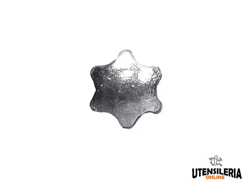 Inserto a stella Fischer T40 per SXR VAE e FUR VAE (1confezione) Promozione Esclusiva