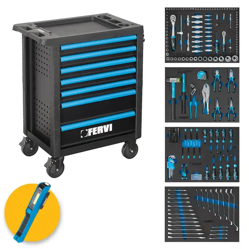 Compra Adesso Fervi C600C4 - Carrello 7 cassetti completo di 298 utensili