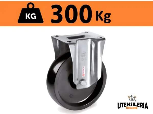Pagamento Sicuro Ruota termoindurente 67 supporto INOX NLX fisso portata 300Kg
