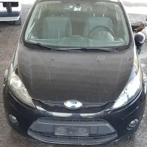 Professionale MUSATA COMPLETA FORD FIESTA DAL 2008 AL 2017
