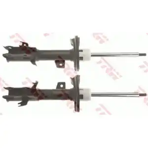 Offerta Lampo Coppia ammortizzatori anteriori TRW JGM1091T
