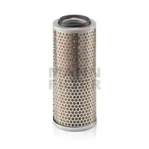 Promozione Esclusiva MANN-FILTER Filtro aria C 13 114/4