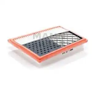 A Buon Prezzo MANN-FILTER Filtro aria C 25 004