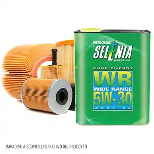 KIT TAGLIANDO 4 FILTRI + 5 LITRI SELENIA WR 5W30 PER FIAT BRAVO II 198 1.6 D MULTIJET 66 KW, 90 PS Professionale