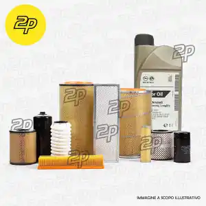 KIT TAGLIANDO 4 FITLRI + 5 LITRI GM 5W30 PER Nissan/Qashqai +2 I (J10, JJ10)/1.5 dCi Subito Disponibile