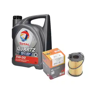 Compra Adesso Olio motore per auto TOTAL QUARTZ INEO ECS 5W30 5l e Filtro olio CHAMPION (529E5W30)