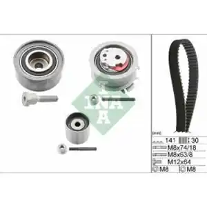 Nuova Collezione INA Kit distribuzione 530 0463 10