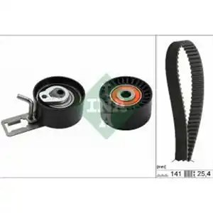 Must-Have INA Kit distribuzione 530 0578 10