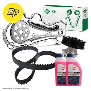 A Buon Prezzo Kit catena distribuzione INA con pompa acqua, cinghia trasmissione e antigelo rosso (PR7458/19)