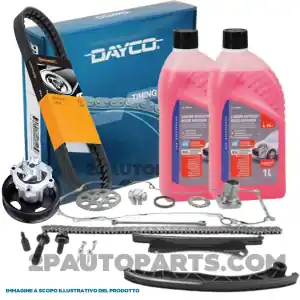 Consegna Rapida KIT CATENA DISTRIBUZIONE RINFORZATO COMPETO POMPA ACQUA CINGHIA POLY-V E ANTIGELO FIAT 1.3 MULTIJET PUNTO PANDA