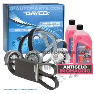A Buon Prezzo KIT DISTRIBUZIONE POMPA ACQUA E CINGHIA SERVIZI PER FIAT PANDA PANDA 169 1.1 40kW 54CV