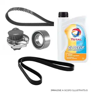 Kit distribuzione, pompa acqua, cinghia trasmissione e 2lt antigelo rosso (PR1780/18) Offerta