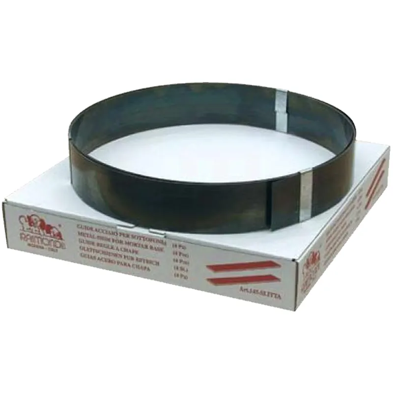 Kit 4 Pezzi Slitta Guida RAIMONDI in Acciaio Armonico per Preparare e Livellare Massetti articolo 145SLITTA Subito Disponibile